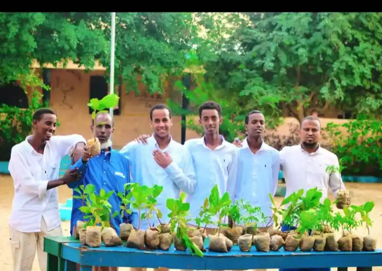 Land Restoration and Greening Project