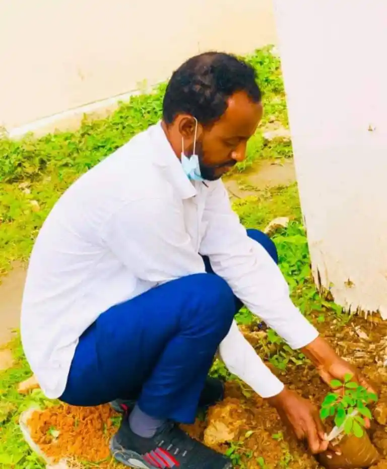 Land restoration project activity 2