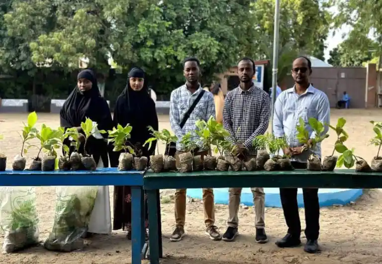 Land restoration project activity 3