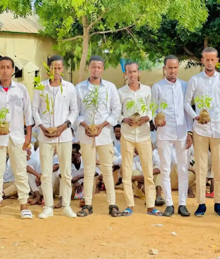 Land restoration project activity 4