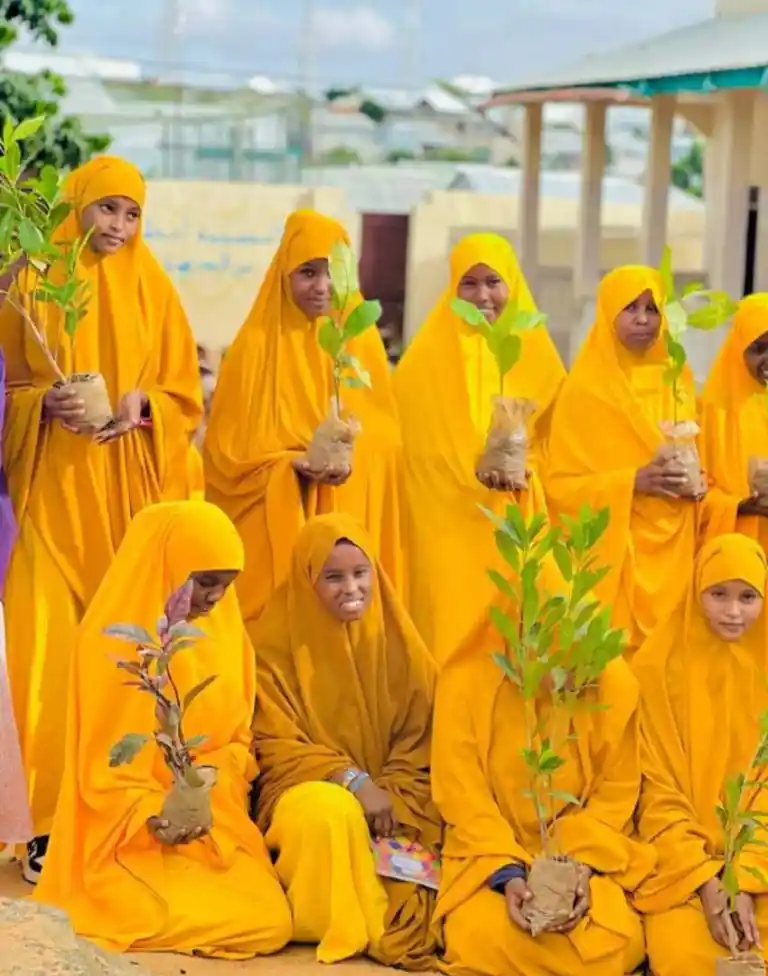 Land restoration project activity 5