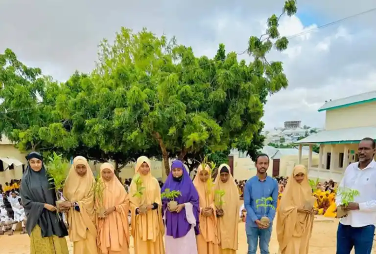 Land restoration project activity 6