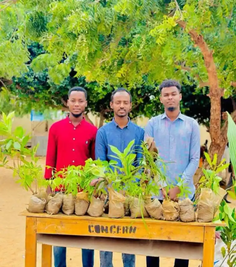 Land restoration project activity 10