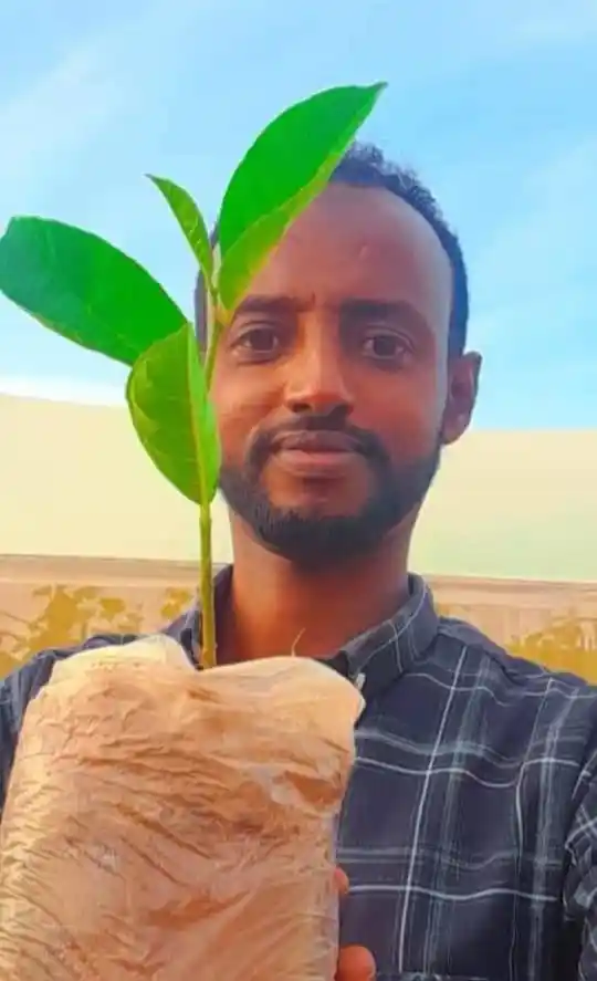 Land restoration project activity 11