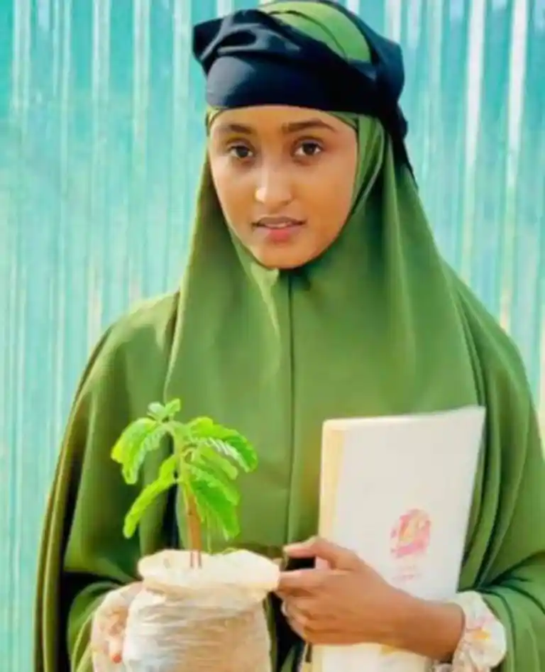 Land restoration project activity 13