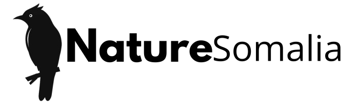 Nature Somalia Logo